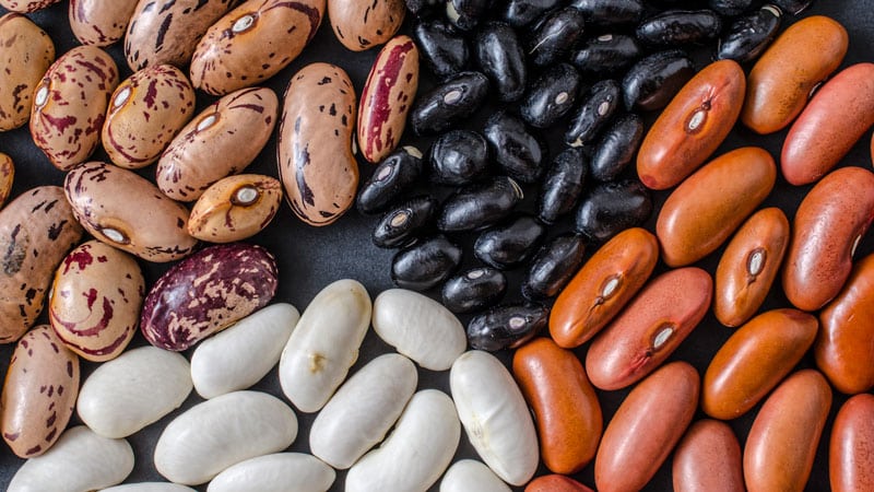 pinto, black, kidney and white beans also known as common beans.
