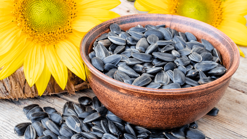 Nutrientes de las semillas y sus beneficios para nuestro cuerpo.