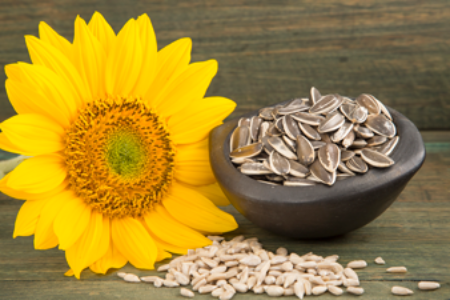 Semillas de girasol