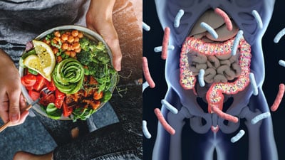 Fiber diversity for a diverse microbiome.
