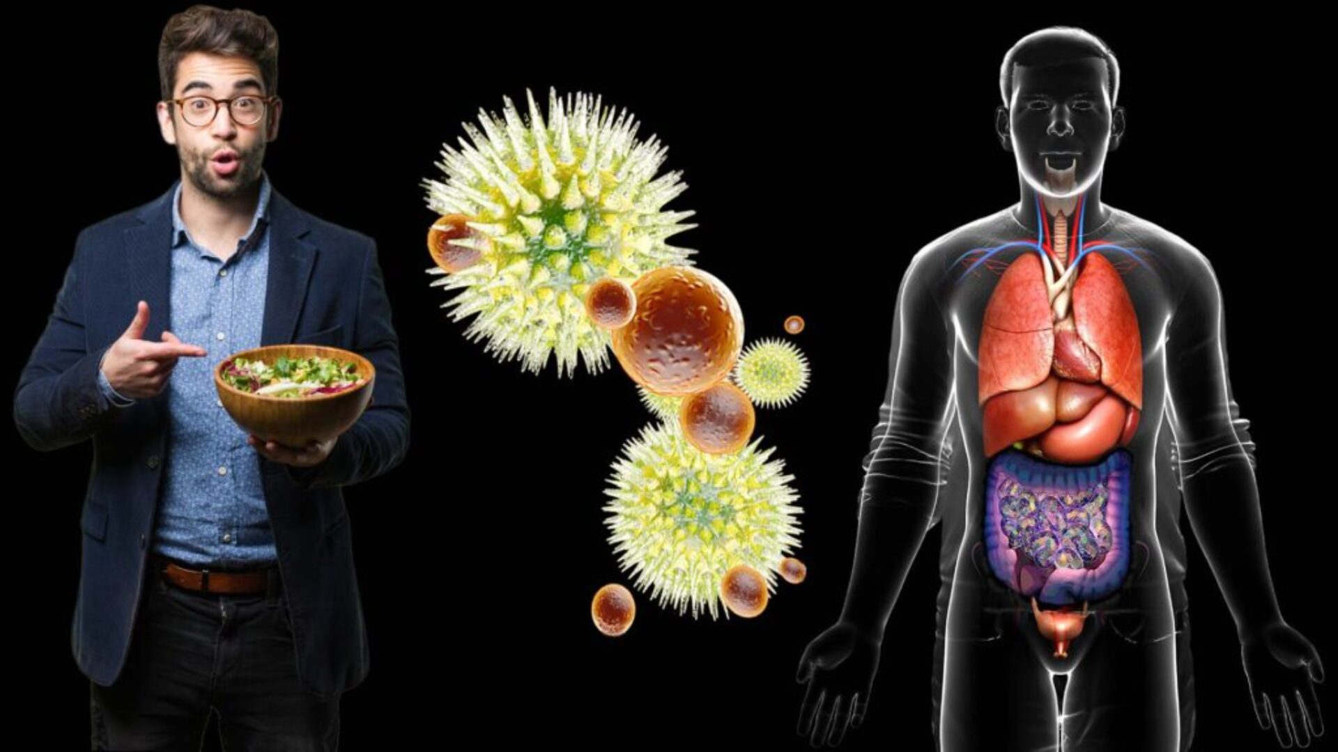 Choose the Best Foods for You and Your Family How fiber and SCFA support our body.