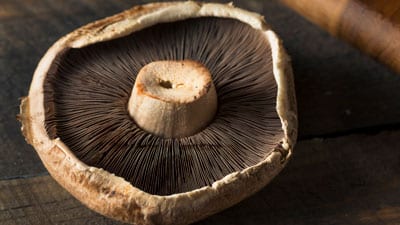Champiñones portobello o portabella.