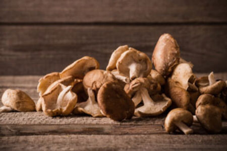 Hongos shiitake