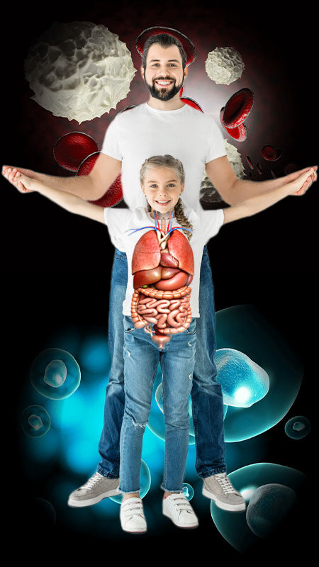 Be NutriSavvy A man and woman are standing in the shape of organs.