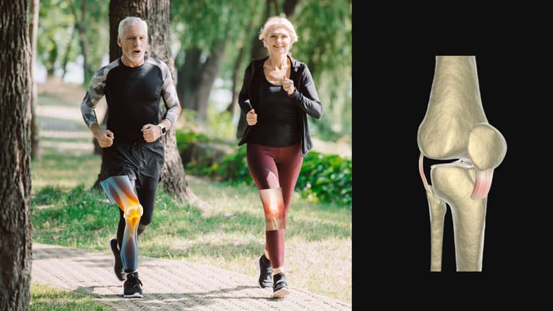 A woman is walking with her dog and older man.