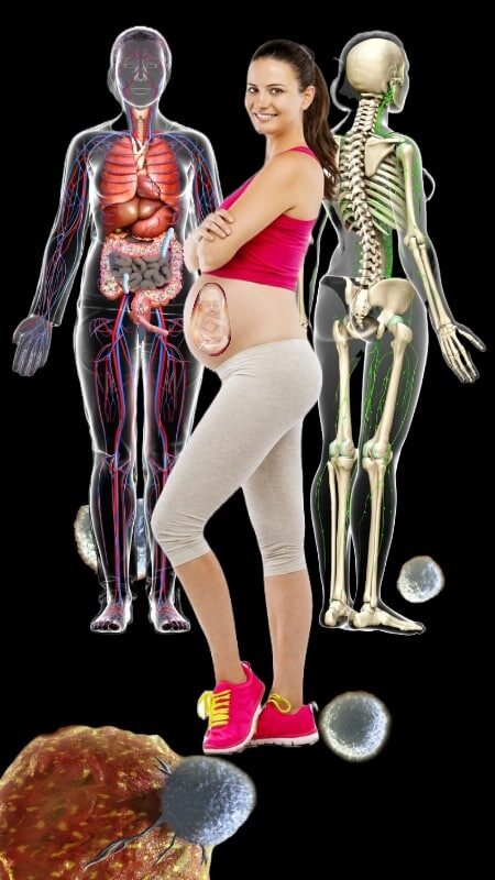 Be NutriSavvy Common beans nutrition and benefits to our heart, brain, bones, muscles, metabolism, early development, reproduction, digestion, and gut bacteria.
