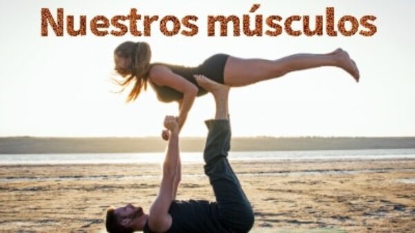 Nuestros músculos.
