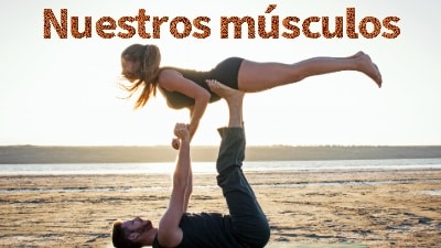 Nuestros músculos.