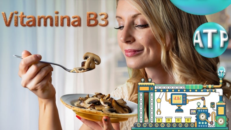 Vitamina B3 o tiamina para la producción de energía o ATP.