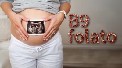 Folato o vitamina B9