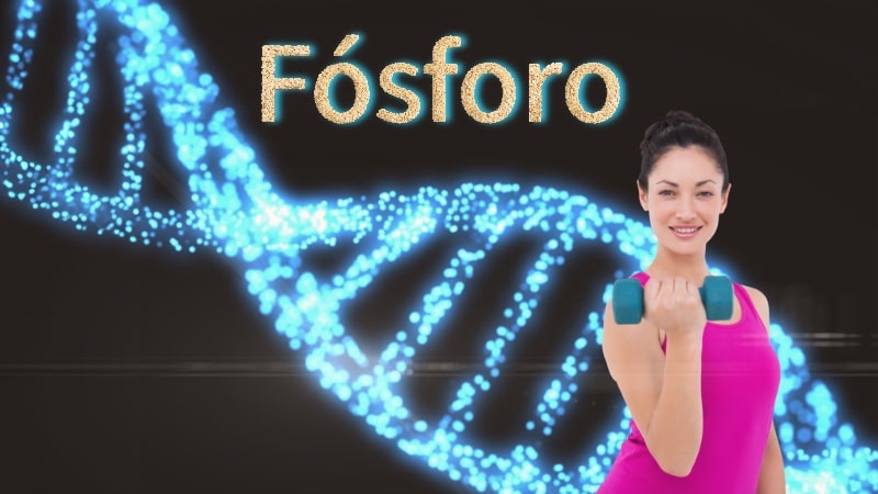 Fósforo para nuestra salud genética, nuestros huesos, músculos, metabolismo, enzimas, y salud celular.