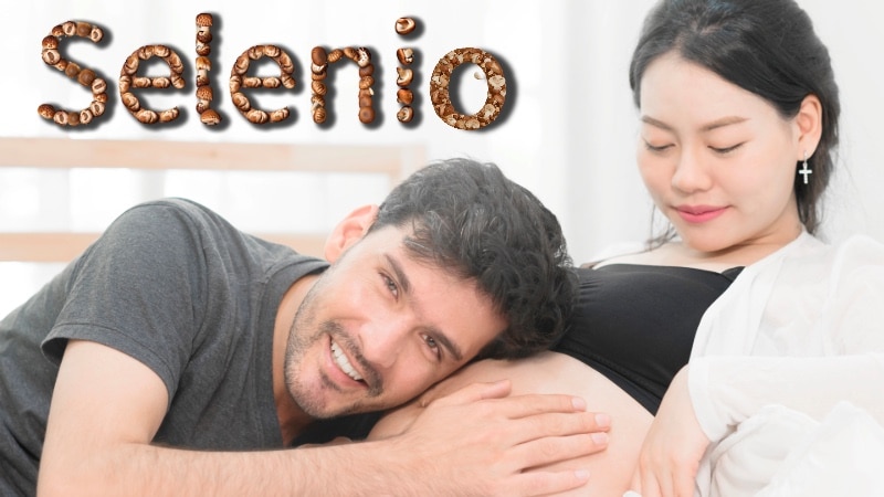 El selenio es esencial para nuestra salud reproductiva, la tiroides, el ADN, el cerebro y el corazón, y podemos encontrarlo en los hongos y setas, en la avena, los esparragos, la soya y las semillas de girasol.